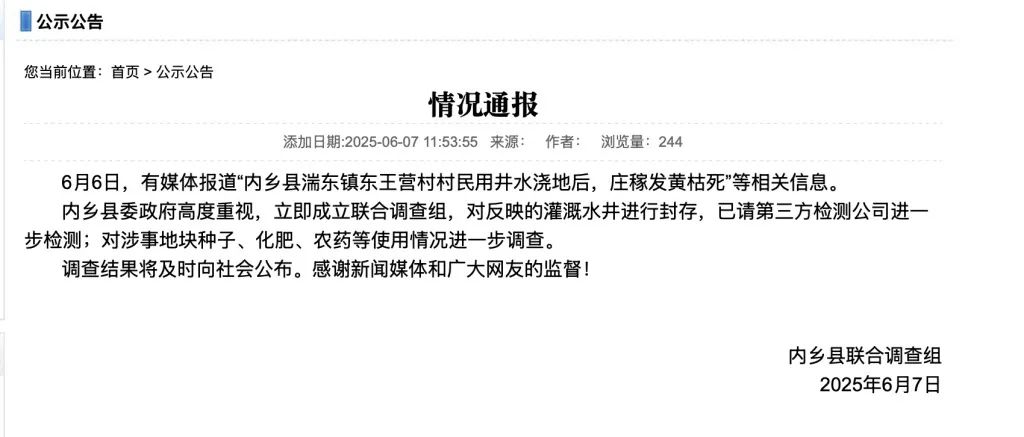 https://imgpai.thepaper.cn/newpai/image/1749344422894_wxhKPD_1749344429676.jpg?x-oss-process=image/resize,w_1024