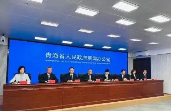 图为新闻发布会现场。孙睿 摄