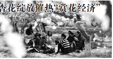 QQ截图20240401171654.png