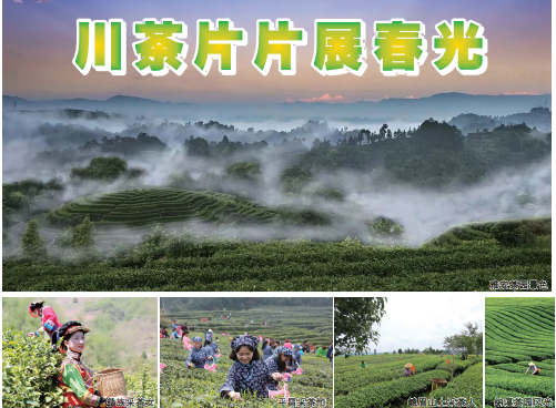 QQ截图20240328164341.png