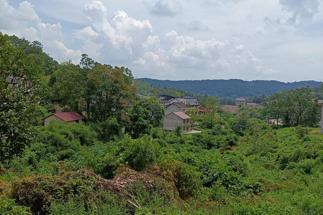 微信图片_2025-08-21_120144_253.jpg